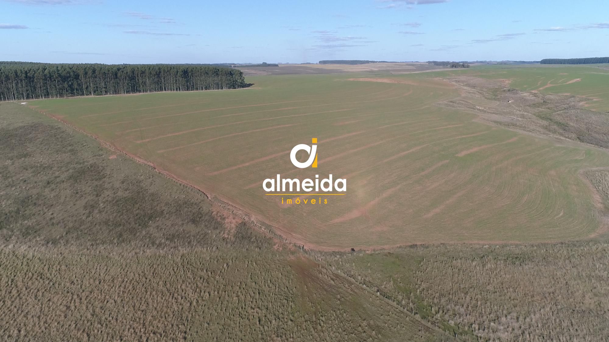 Campo à venda zona rural rosário do sul/rs