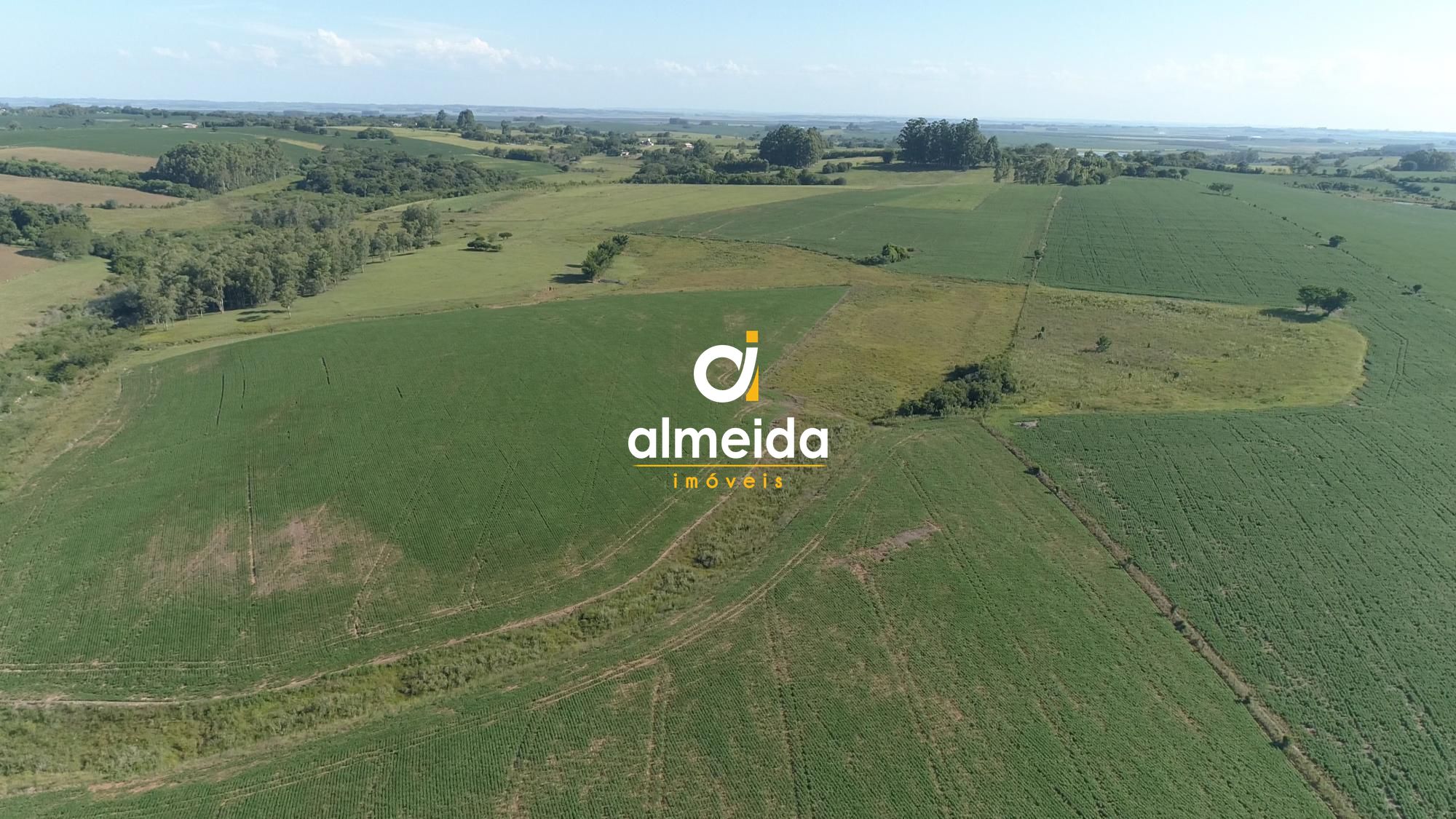 Área agricultável: 29 hectares de lavoura de soja, em plena 
