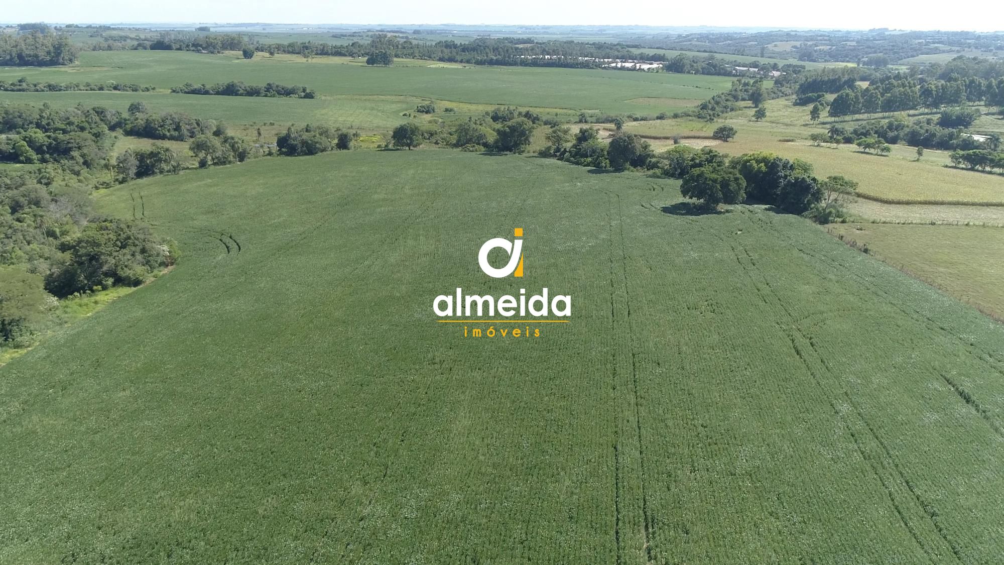 Área agricultável: 27 hectares de lavoura de soja, em plena 