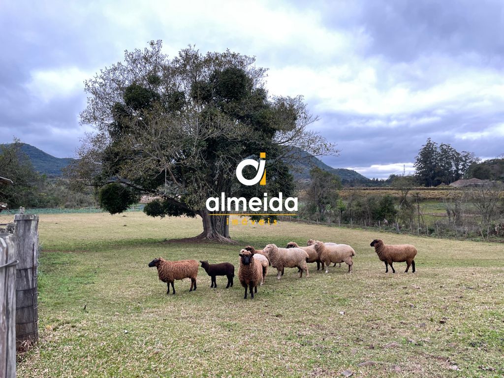 Chácara à venda com 2 quartos, 3670000000m² - Foto 27
