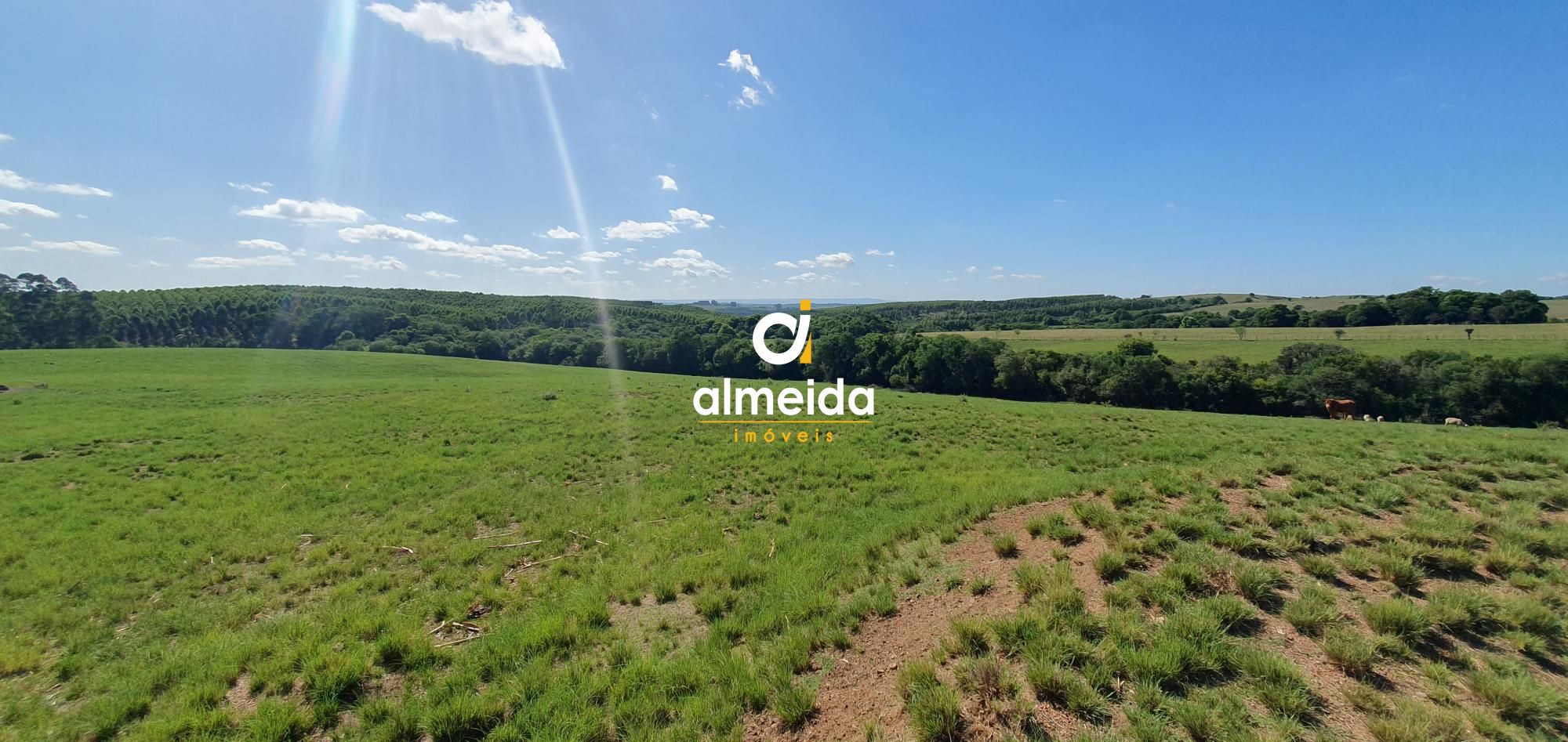 Loteamento e Condomínio, 90000 hectares - Foto 30