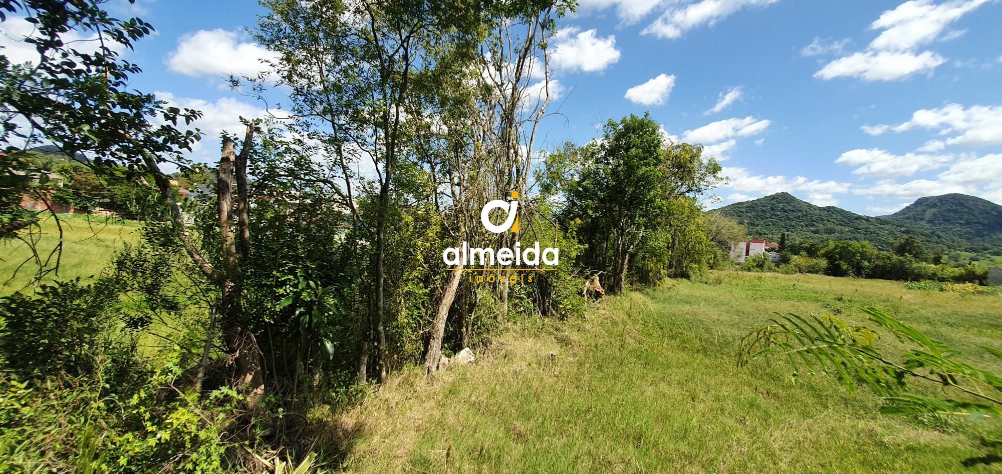 Terreno, 6000 m² - Foto 21