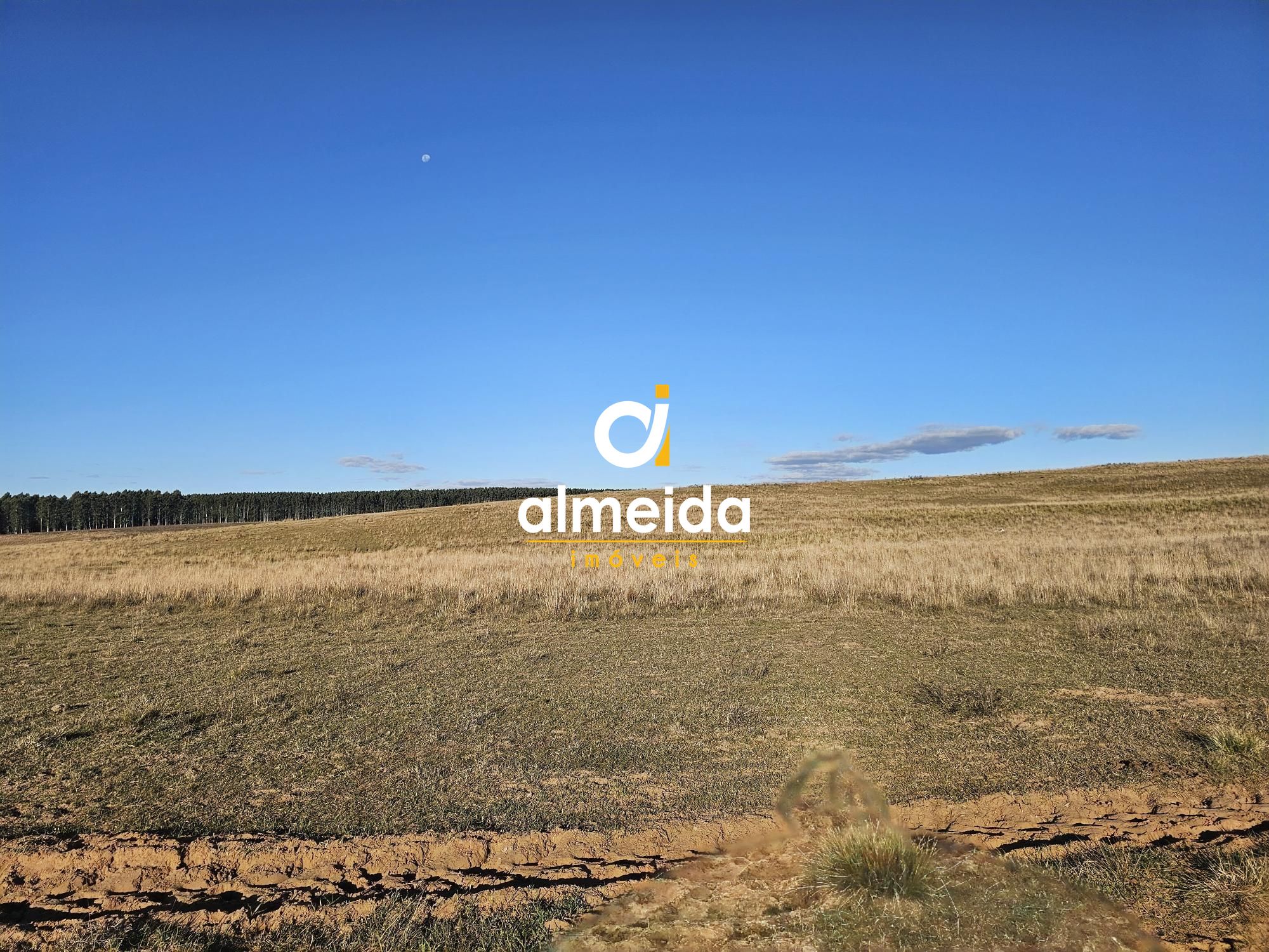 Campo à venda zona rural rosário do sul/rs