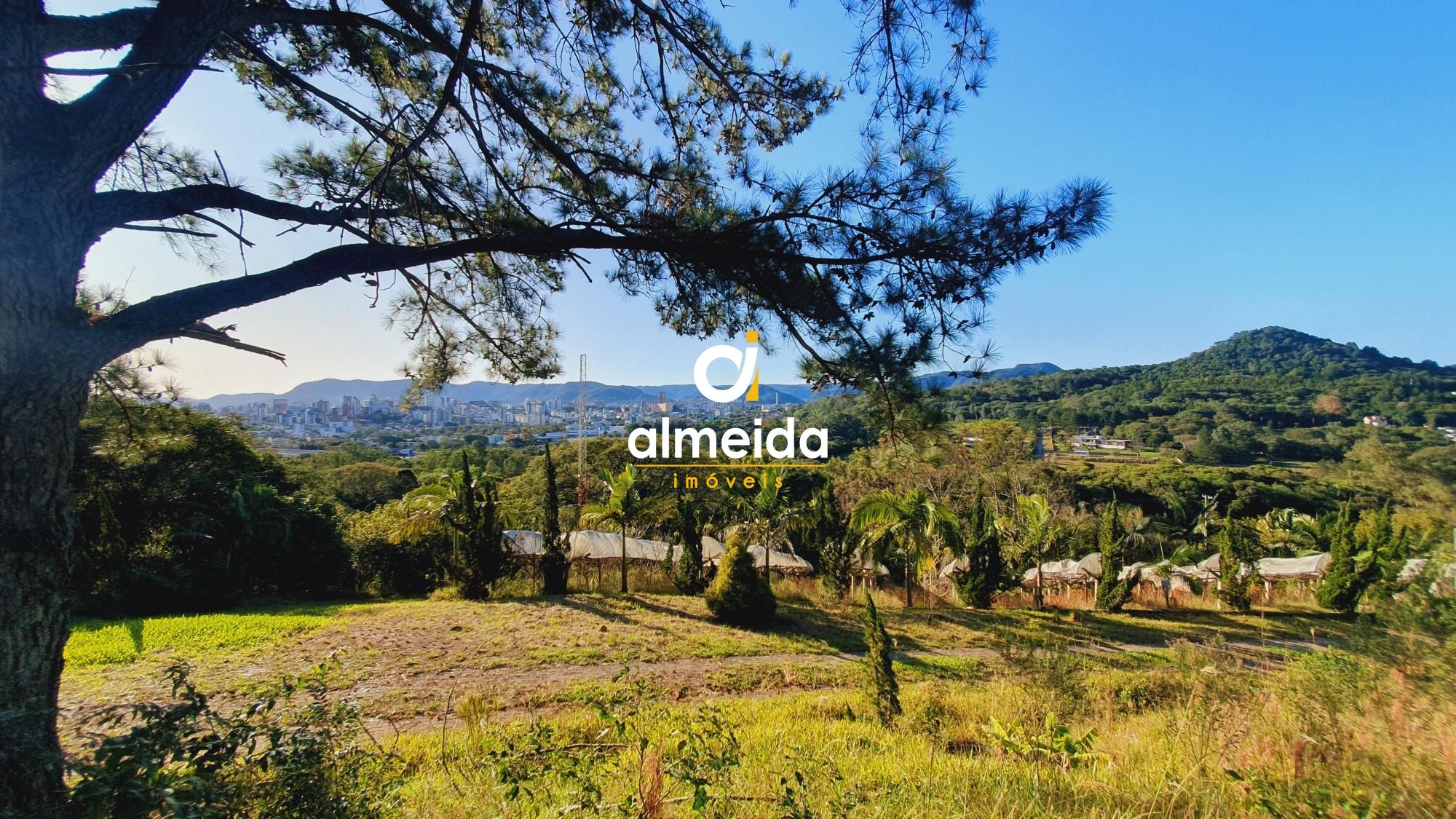 Fazenda à venda com 2 quartos, 100m² - Foto 12