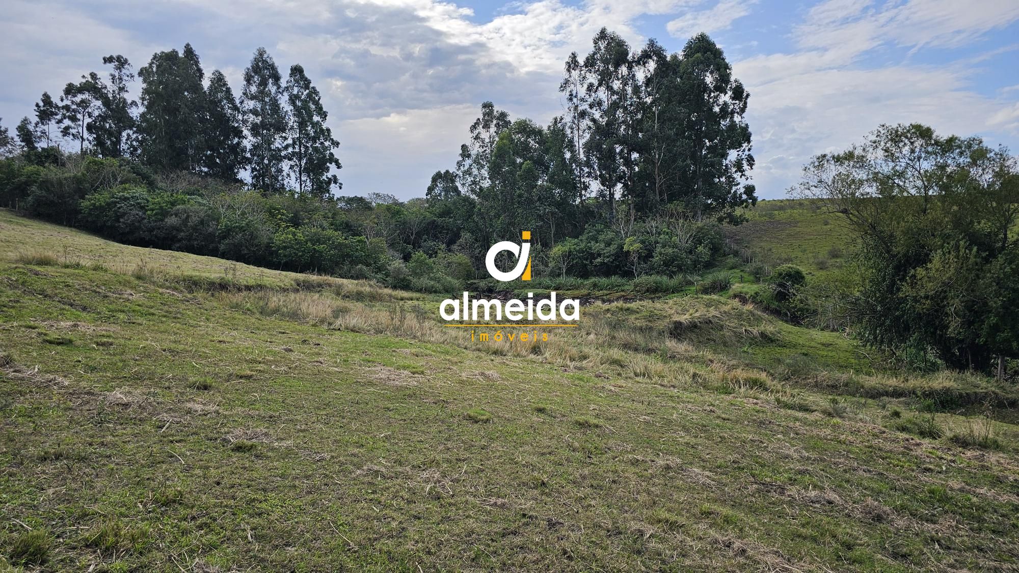 Fazenda à venda com 2 quartos, 120000000m² - Foto 33