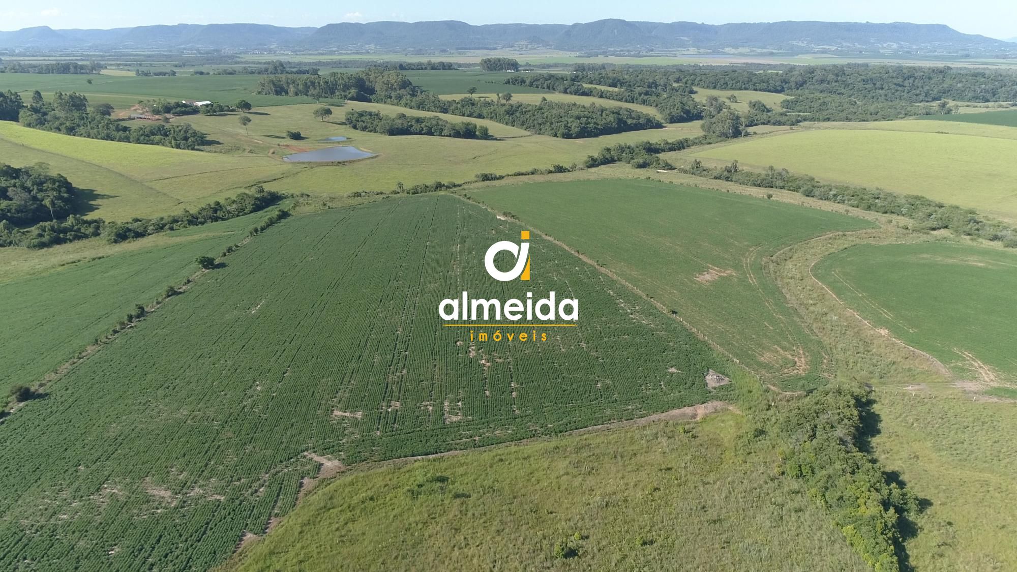 Área agricultável: 29 hectares de lavoura de soja, em plena 