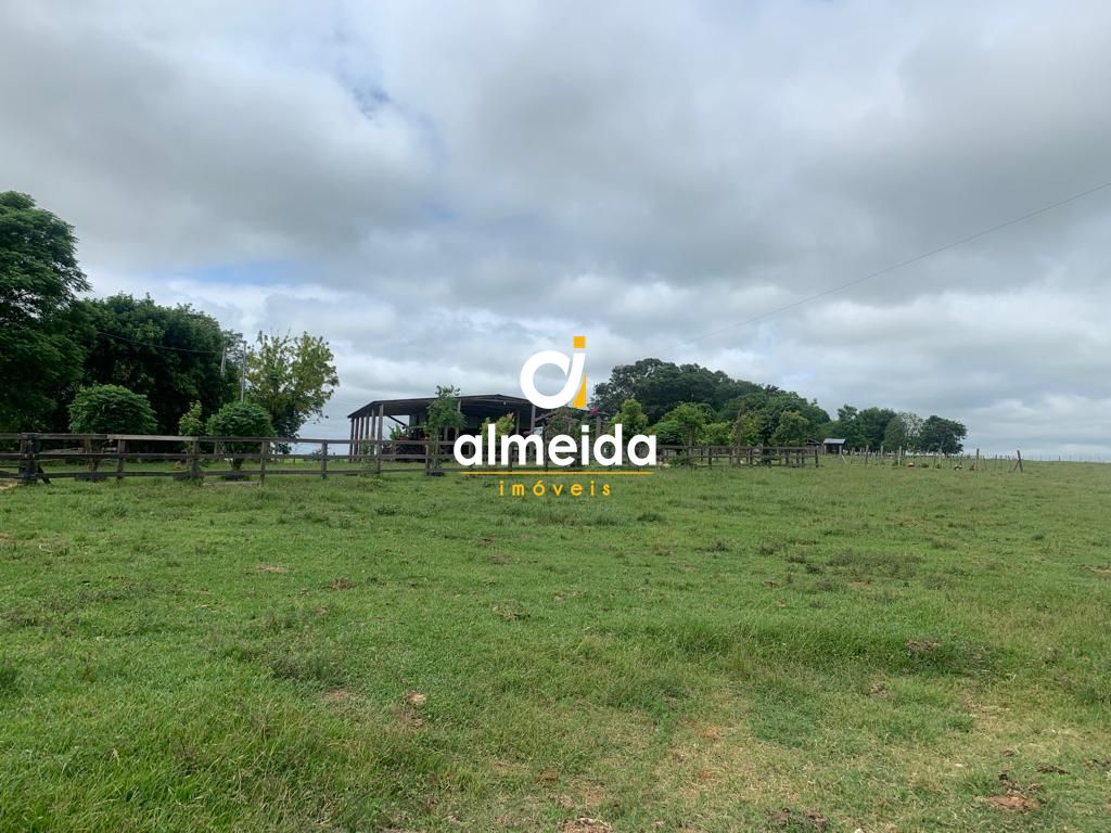 Campo à venda centro rosário do sul/rs - foto 8