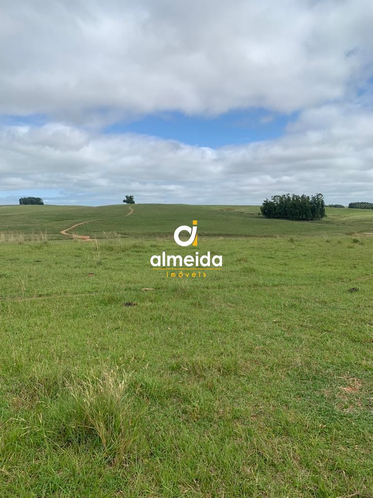 Campo à venda centro rosário do sul/rs - foto 13