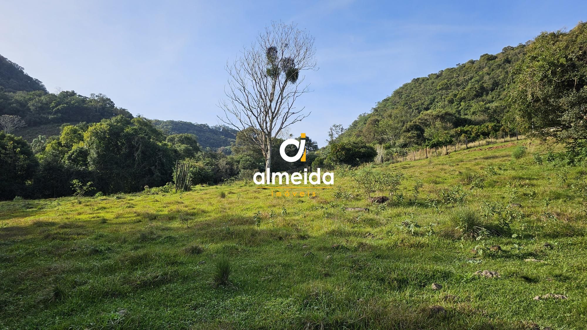 Fazenda à venda, 484000000m² - Foto 9