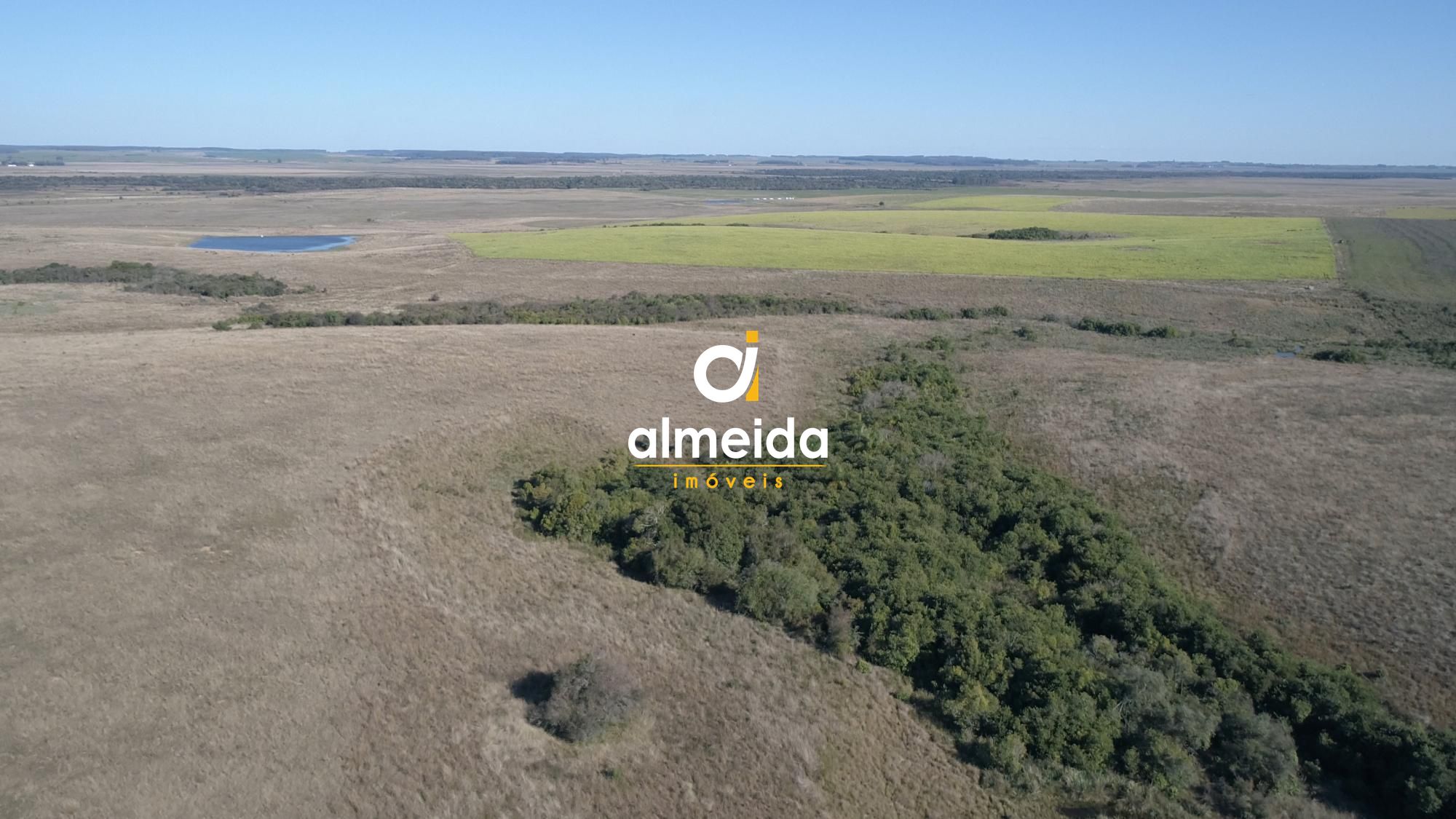 446 ha a venda município de são vicente do sul