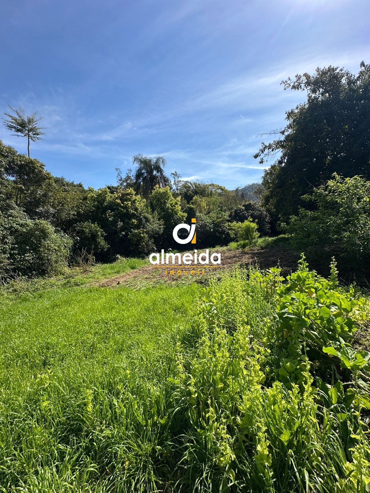 Terreno à venda nossa senhora do perpétuo socorro santa mari