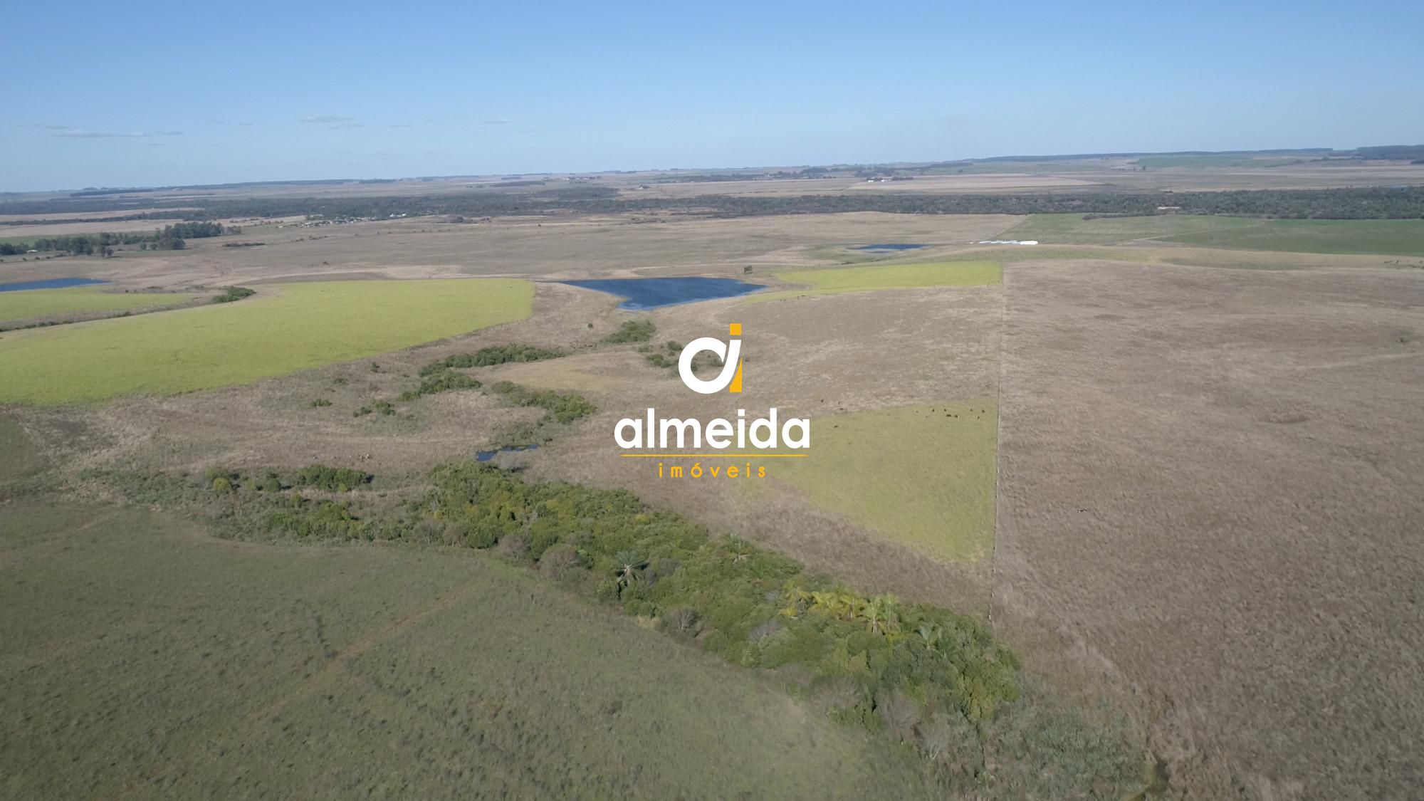 446 ha a venda município de são vicente do sul