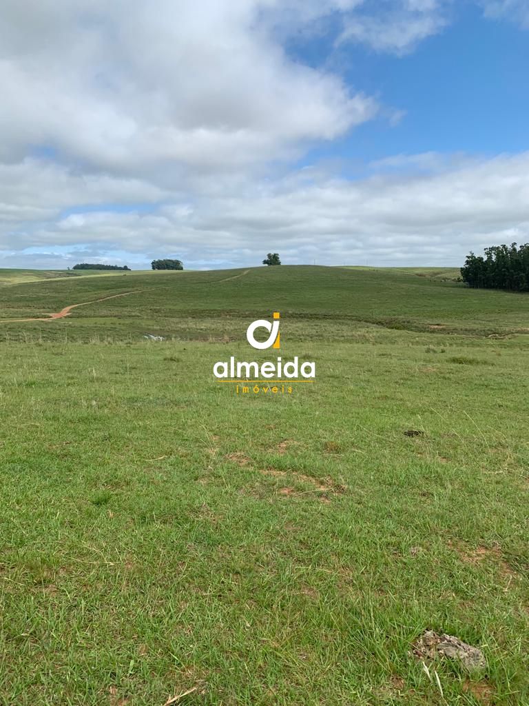 Campo à venda centro rosário do sul/rs - foto 11