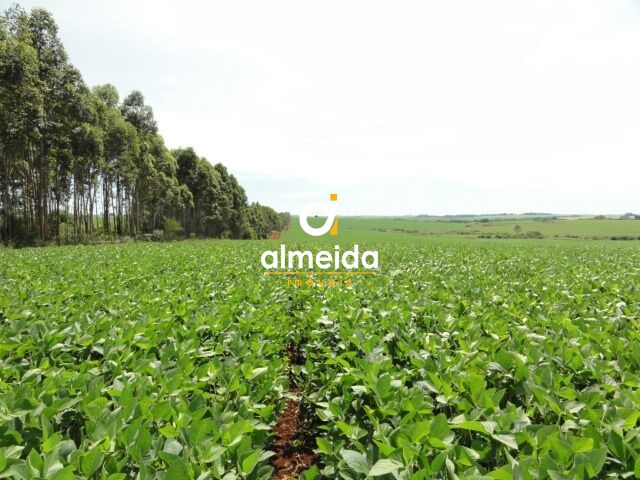 Loteamento e Condomínio à venda, 7000000m² - Foto 4