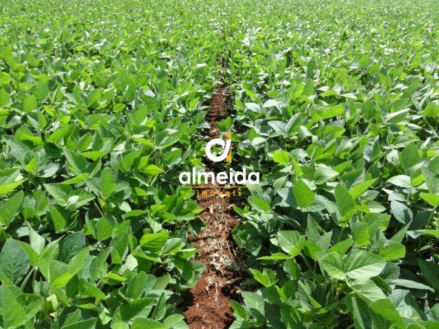 Loteamento e Condomínio à venda, 7000000m² - Foto 3