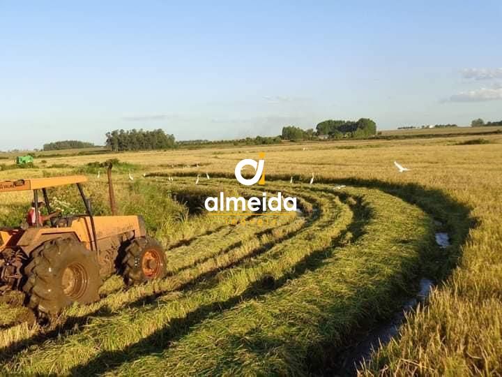 Loteamento e Condomínio, 145 hectares - Foto 3