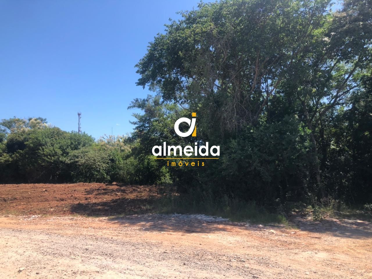 Terreno, 1 hectares - Foto 13
