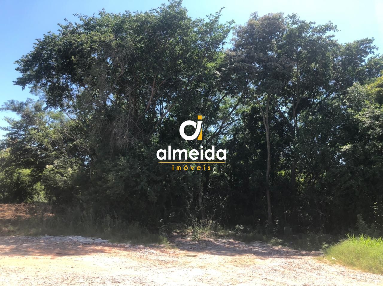 Terreno, 1 hectares - Foto 12