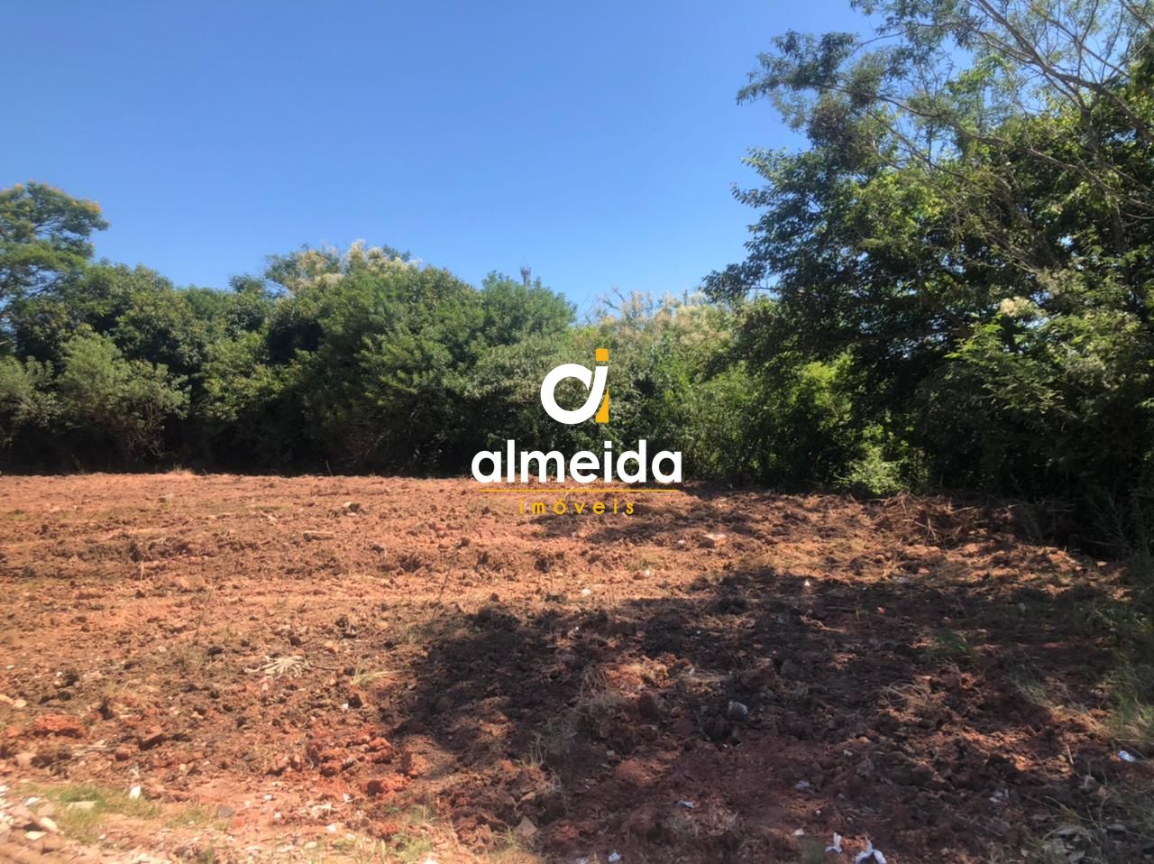 Terreno à venda, 10050m² - Foto 14