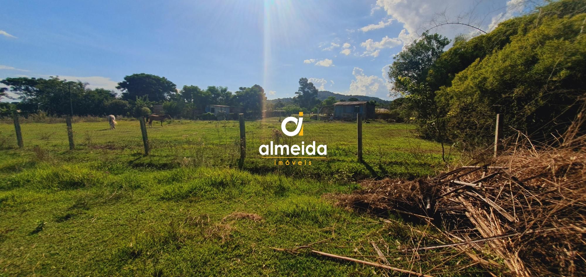 Terreno, 2938 m² - Foto 15