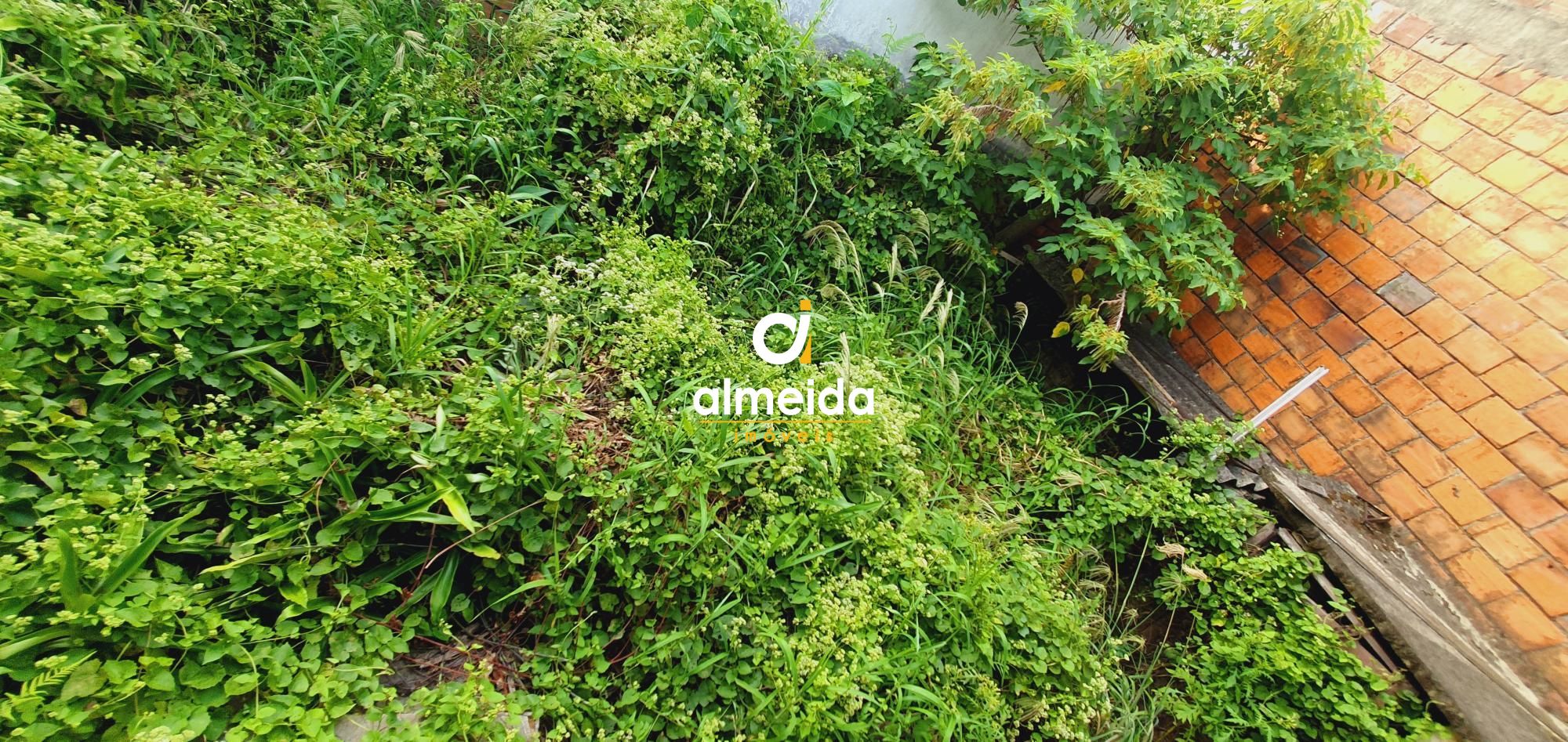 Apartamento, 3 quartos, 270 m² - Foto 104