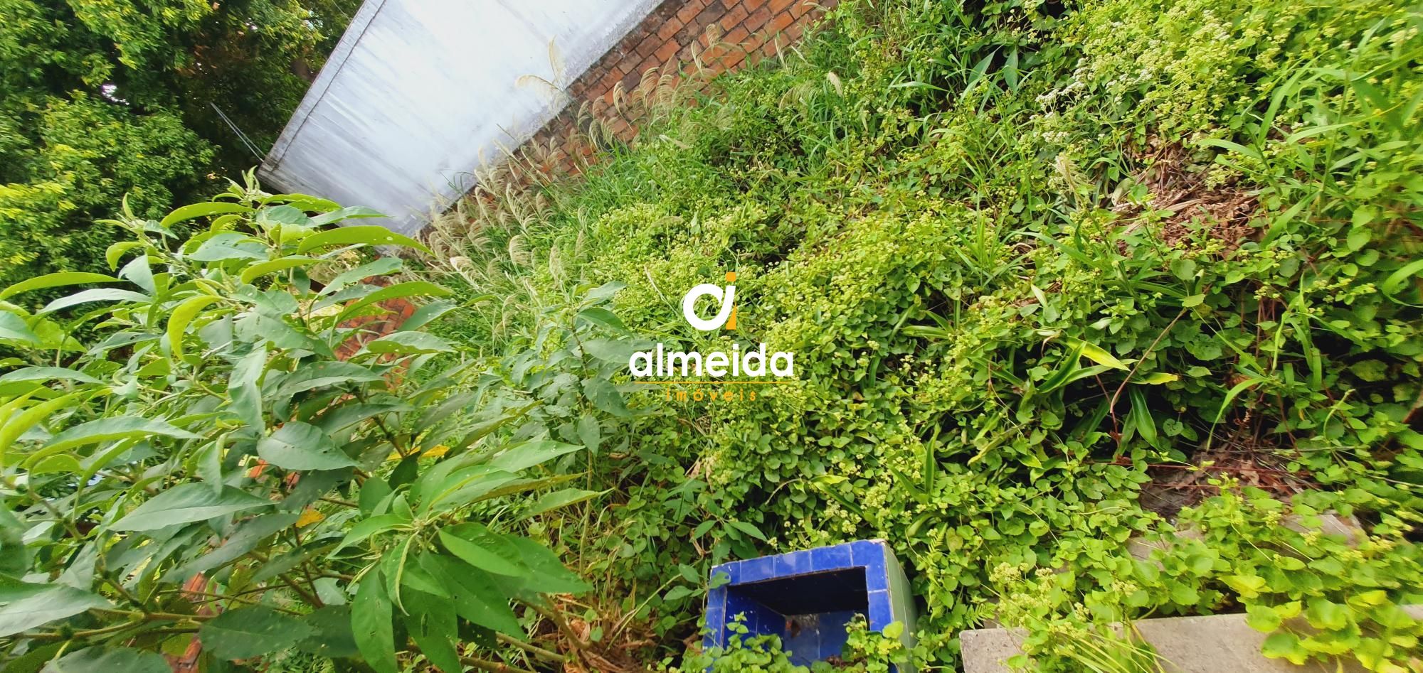 Apartamento, 3 quartos, 270 m² - Foto 103