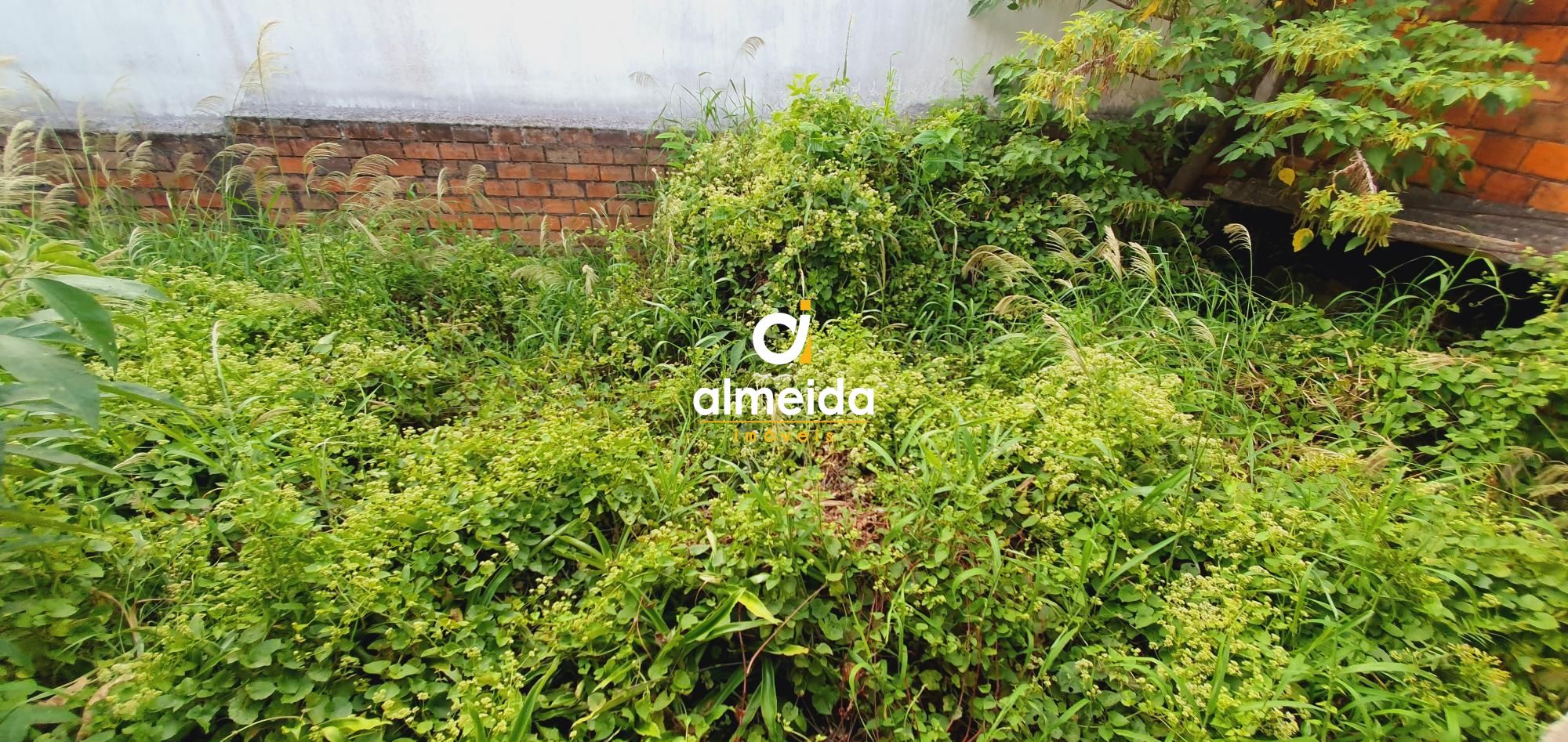 Apartamento, 3 quartos, 270 m² - Foto 105