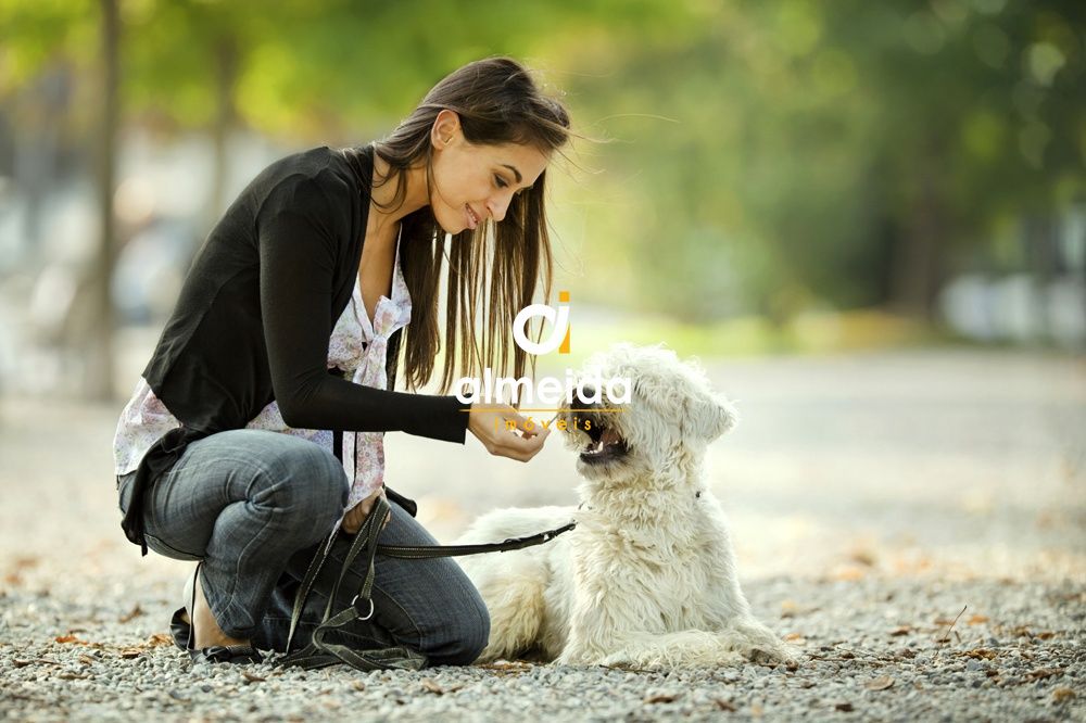 Terreno, 464 m² - Foto 18