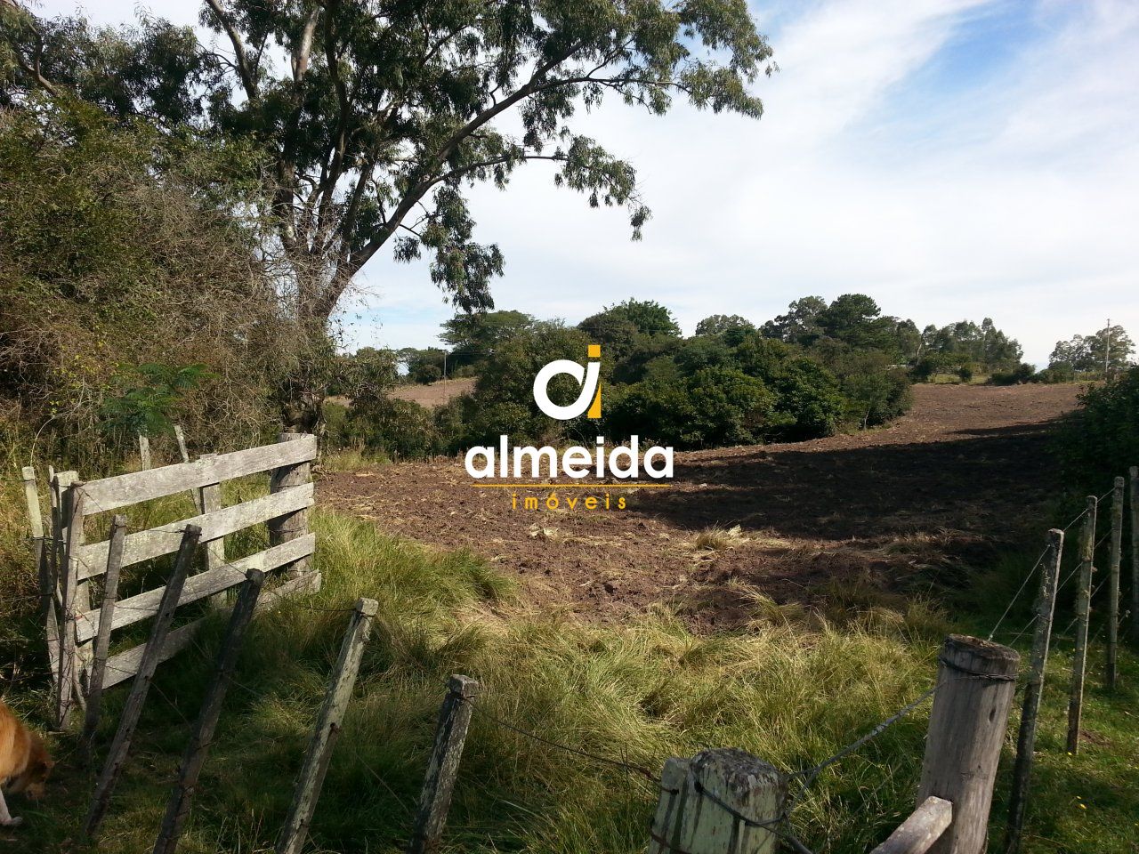 Loteamento e Condomínio, 30000 hectares - Foto 18