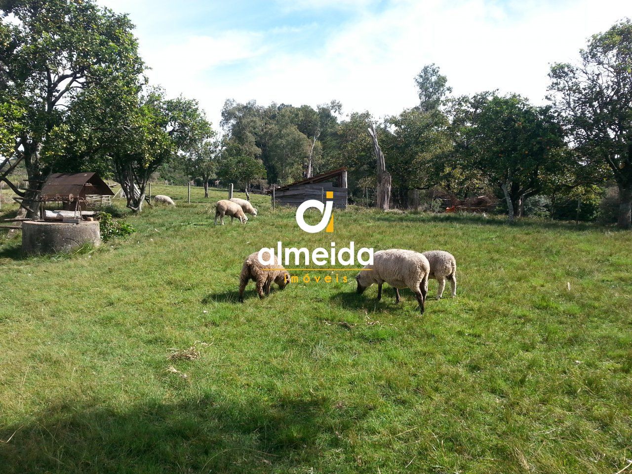 Loteamento e Condomínio, 30000 hectares - Foto 11