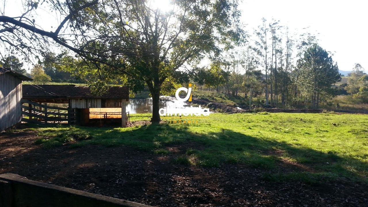 Chácara à venda com 3 quartos, 687000000m² - Foto 29