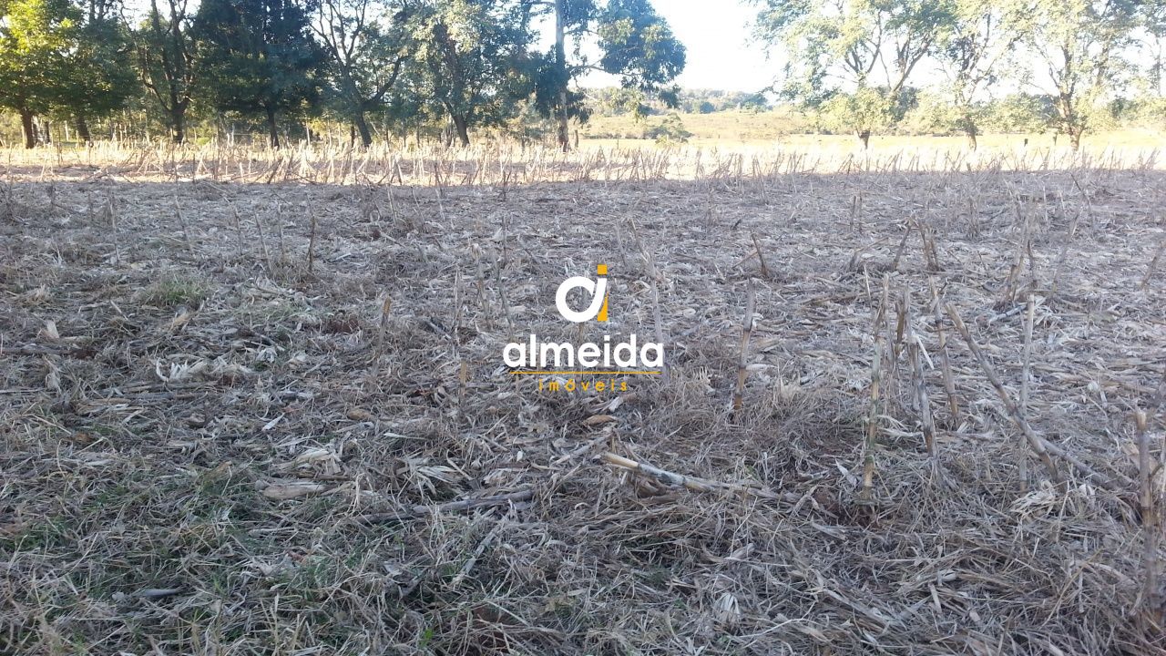 Chácara à venda com 3 quartos, 687000000m² - Foto 49