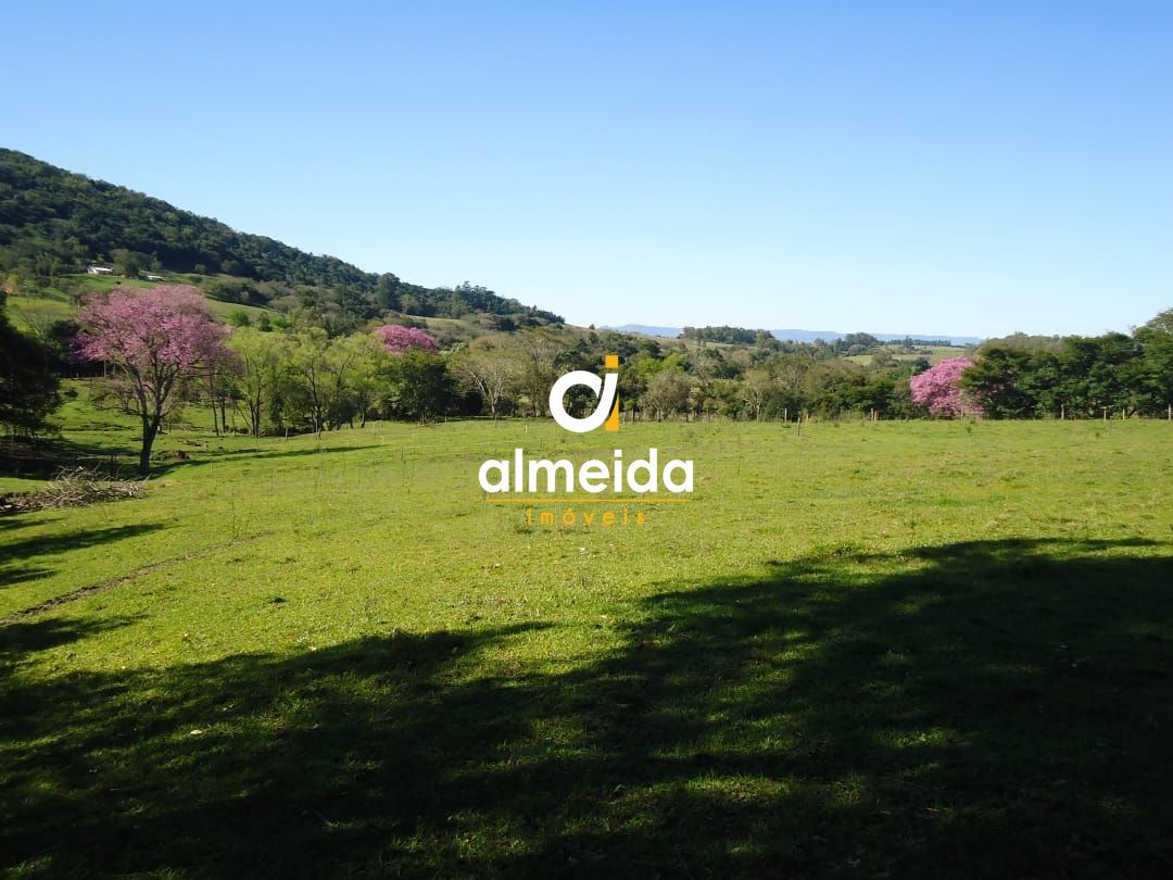 Fazenda à venda com 3 quartos, 600000000m² - Foto 4