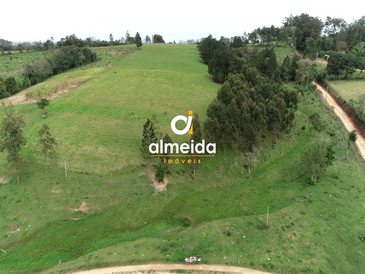 Fazenda à venda com 3 quartos, 600000000m² - Foto 10