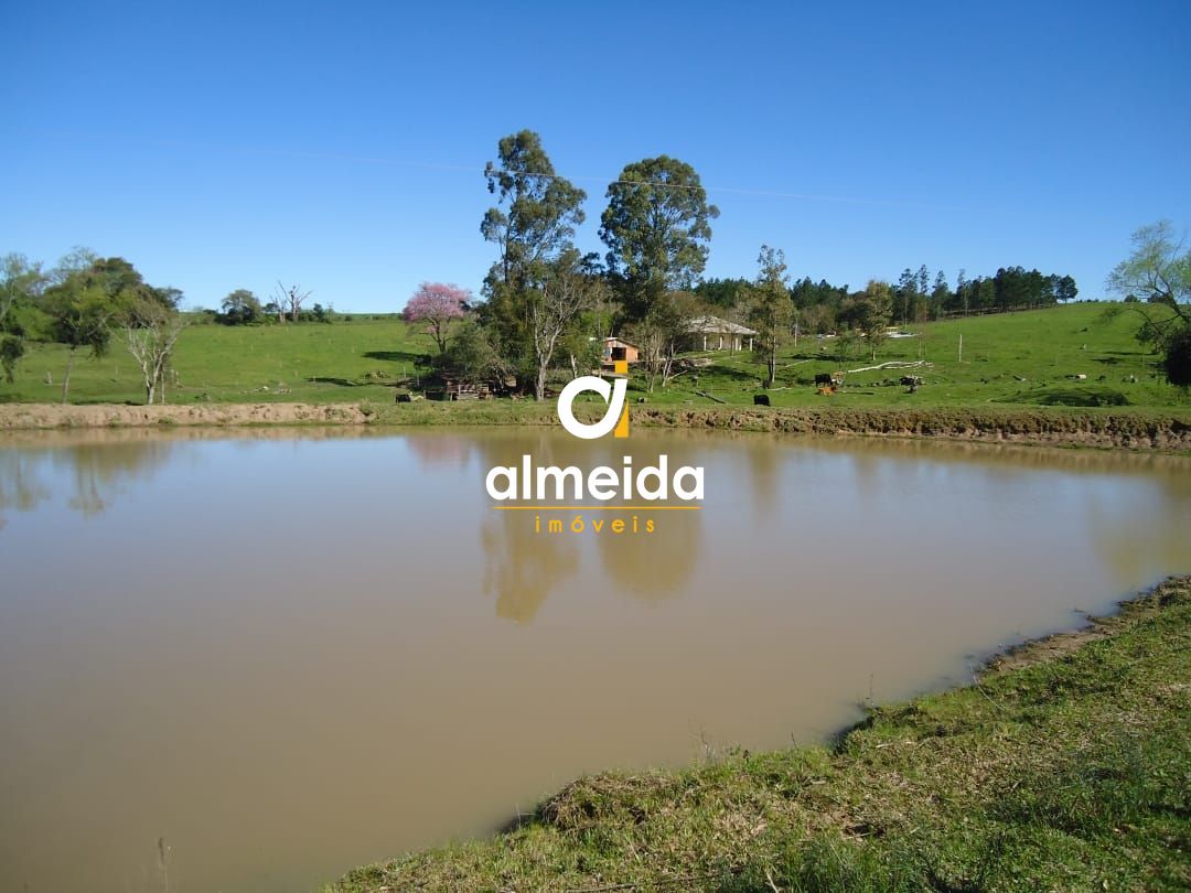 Fazenda à venda com 3 quartos, 600000000m² - Foto 8