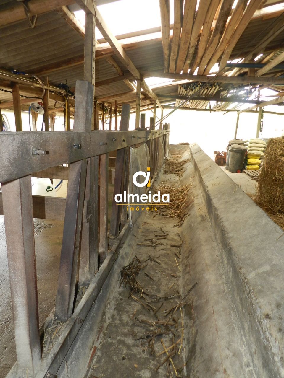 Fazenda à venda com 3 quartos, 600000000m² - Foto 53