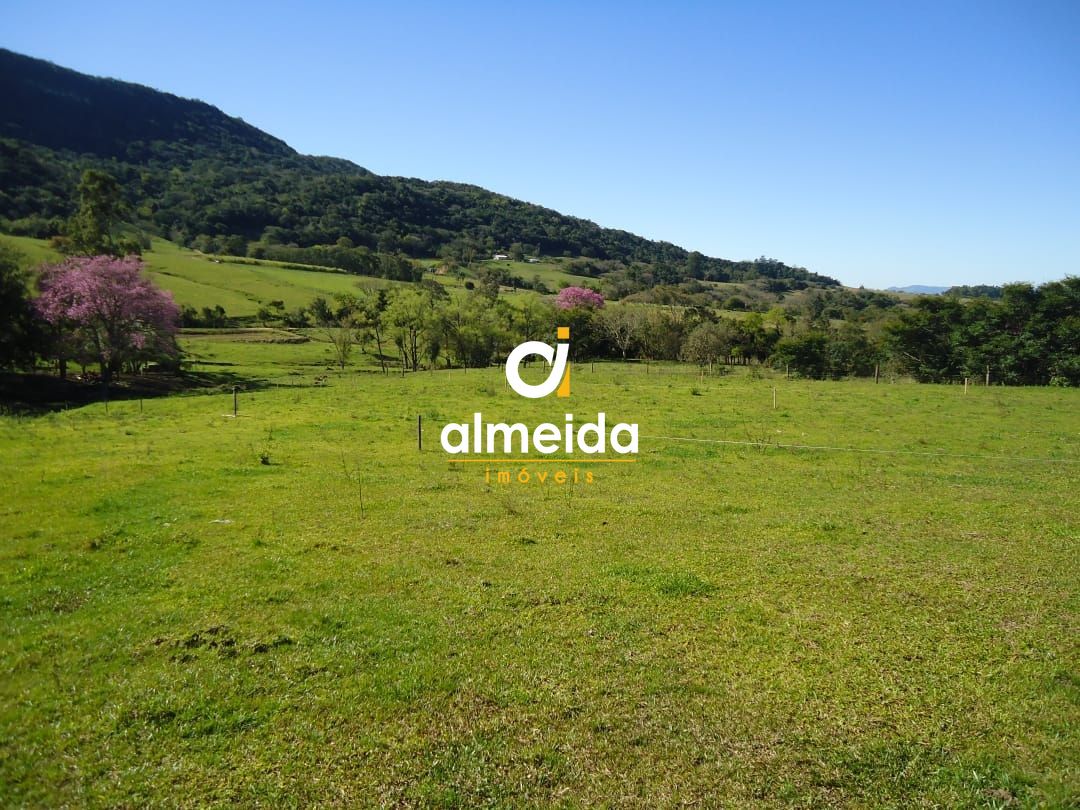 Fazenda à venda com 3 quartos, 600000000m² - Foto 5