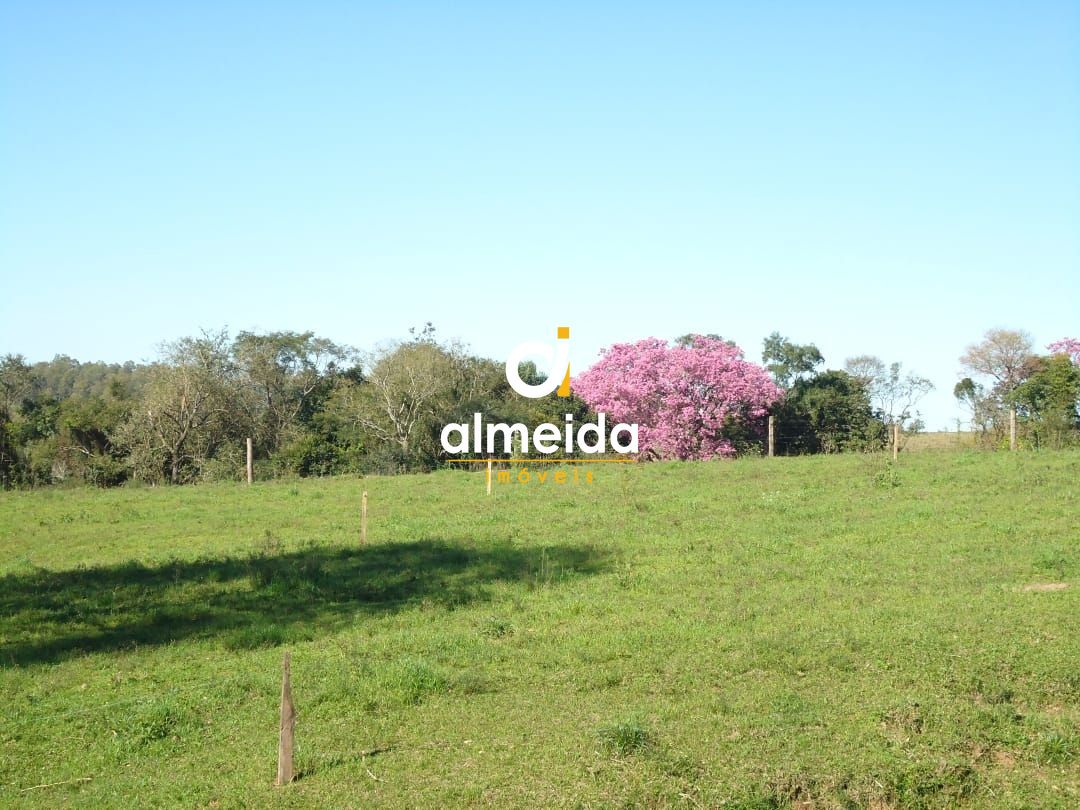 Fazenda à venda com 3 quartos, 600000000m² - Foto 6