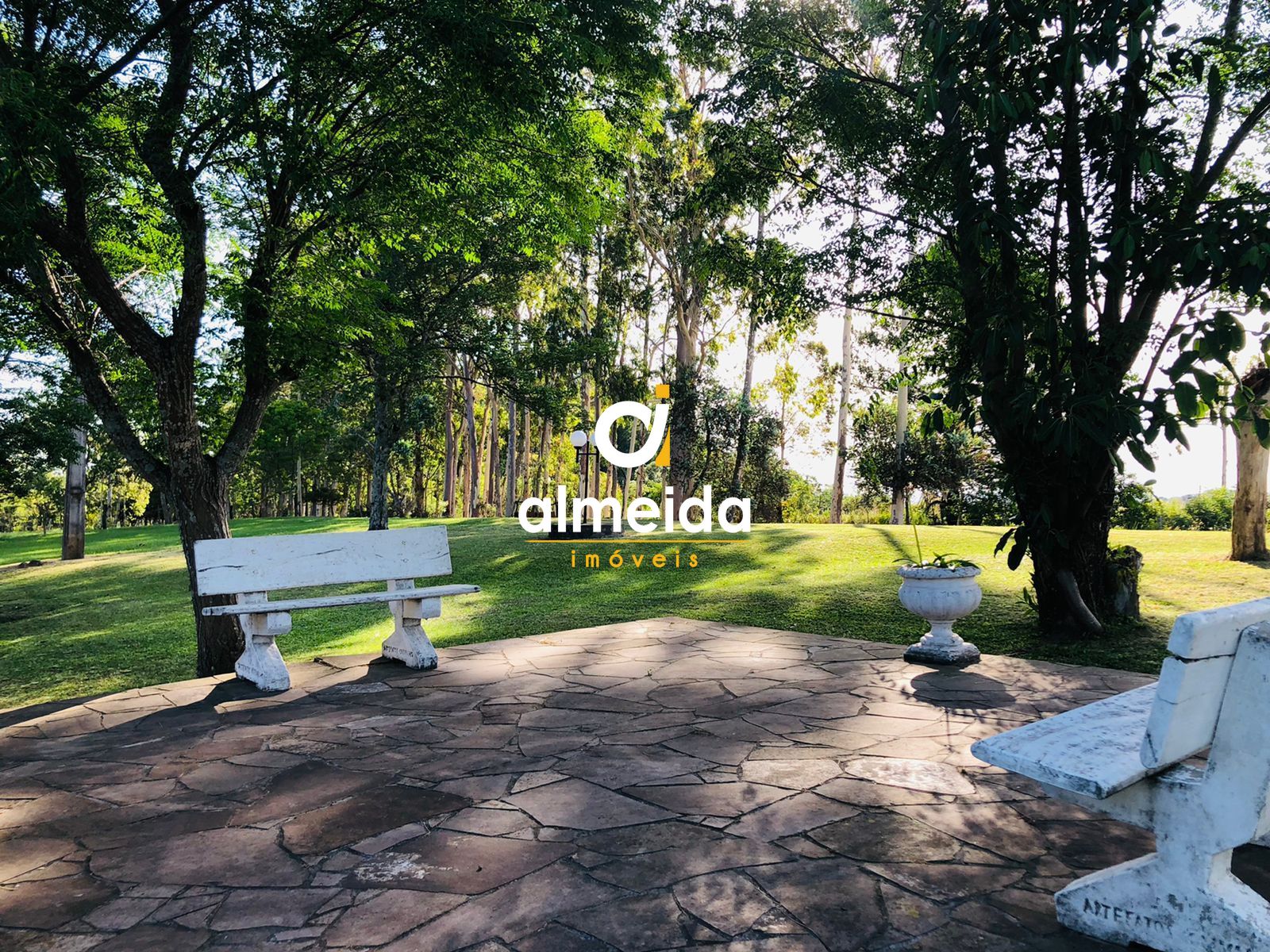 Chácara à venda com 2 quartos, 200000000m² - Foto 14