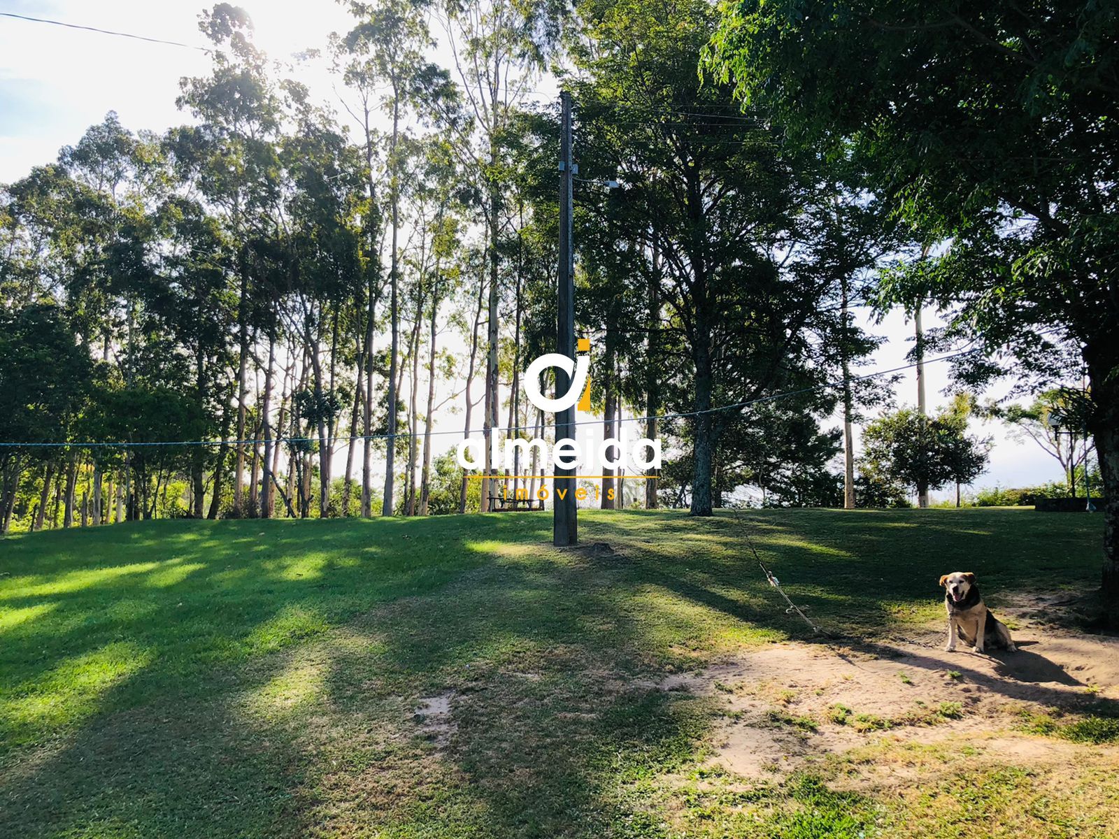 Chácara à venda com 2 quartos, 200000000m² - Foto 20