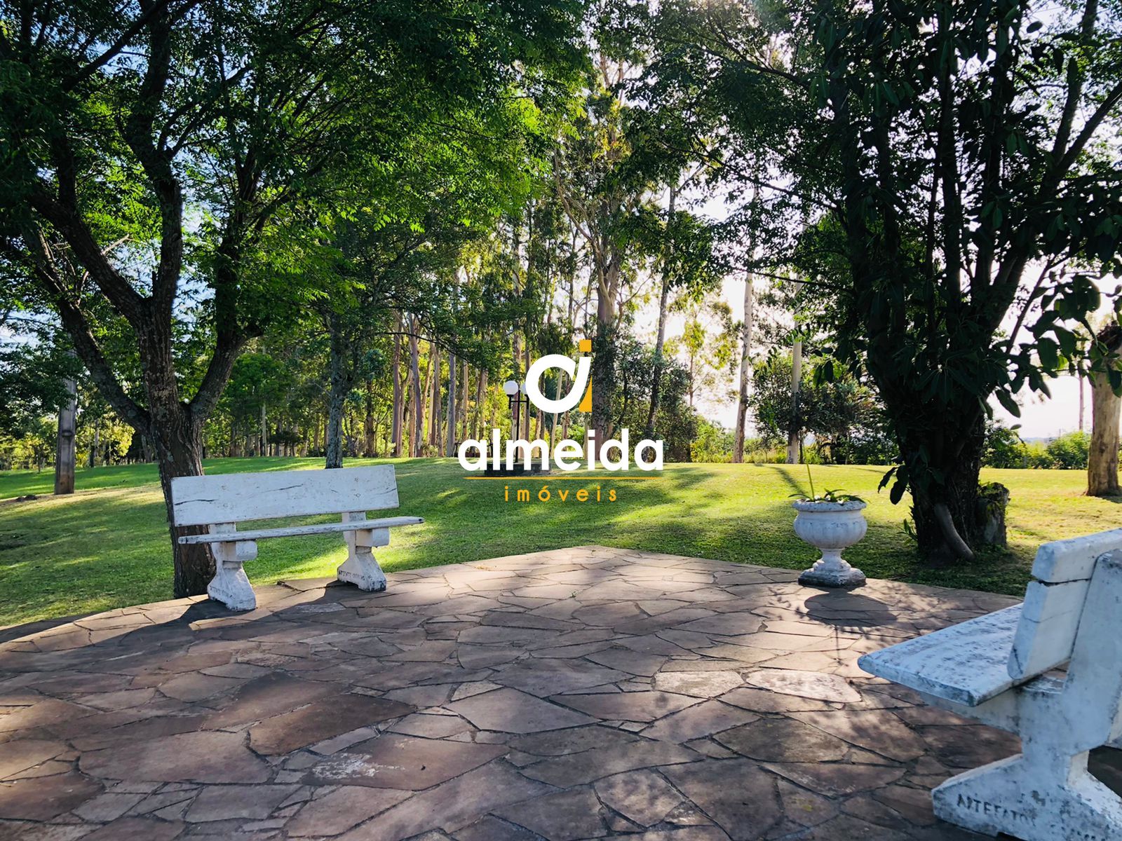 Chácara à venda com 2 quartos, 200000000m² - Foto 13