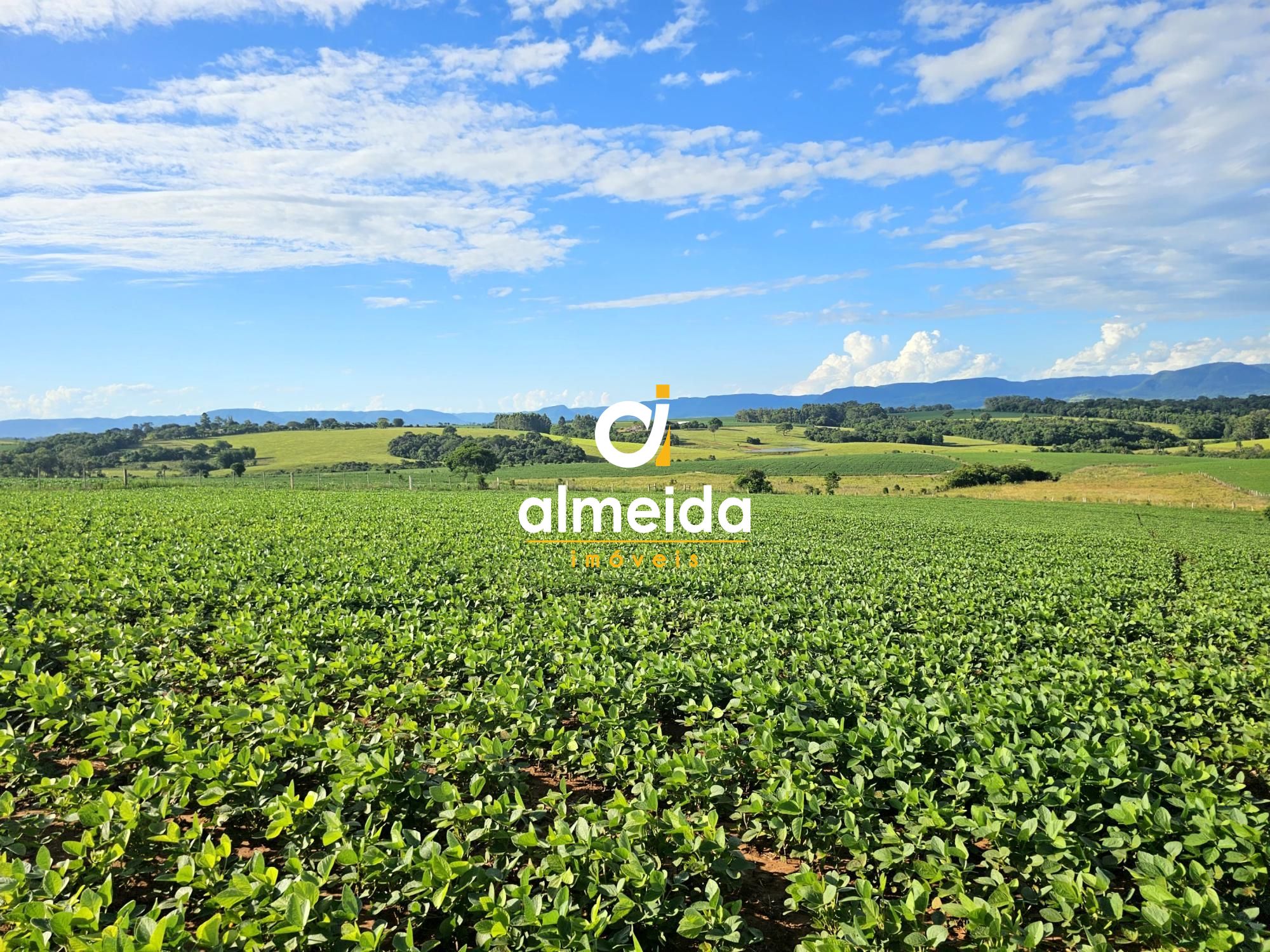 Área agricultável: 15 hectares em lavoura de soja, em plena 