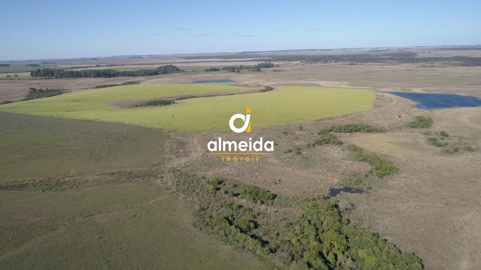 446 ha a venda município de são vicente do sul