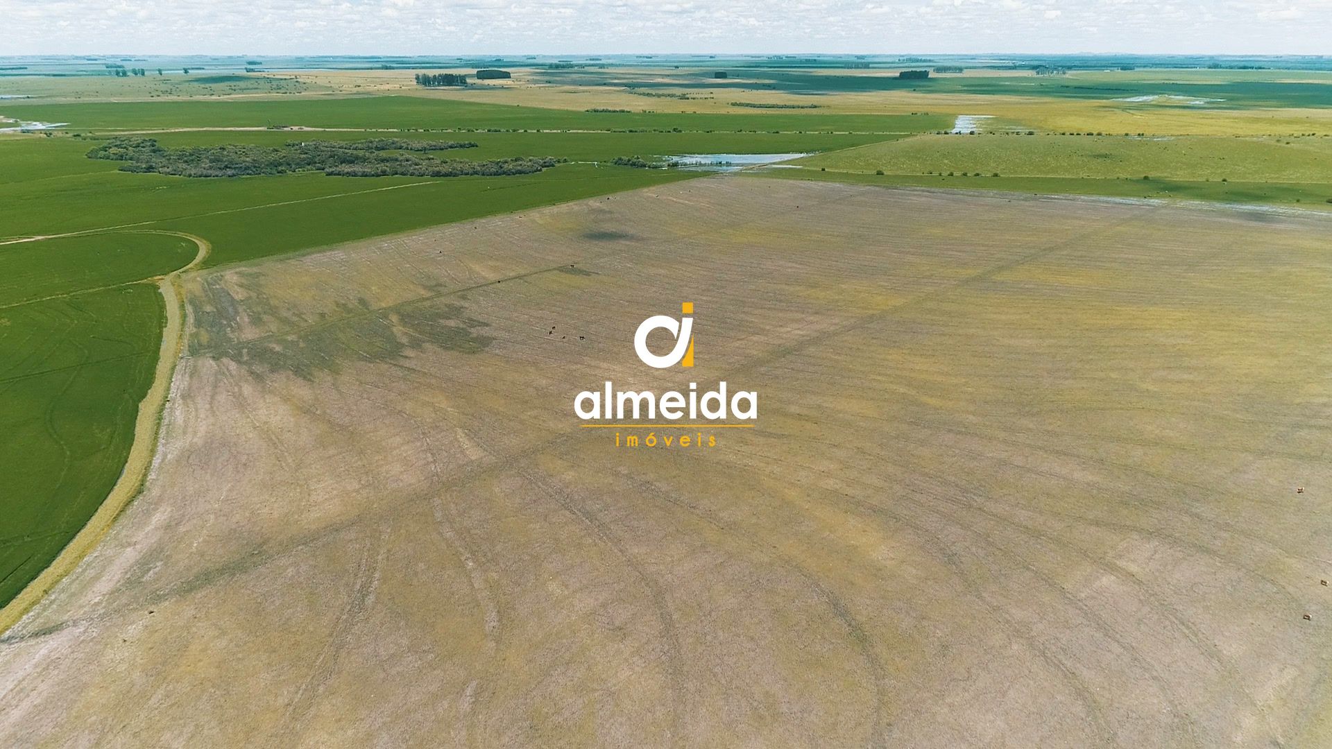 Loteamento e Condomínio à venda com 3 quartos, 45300000000m² - Foto 41