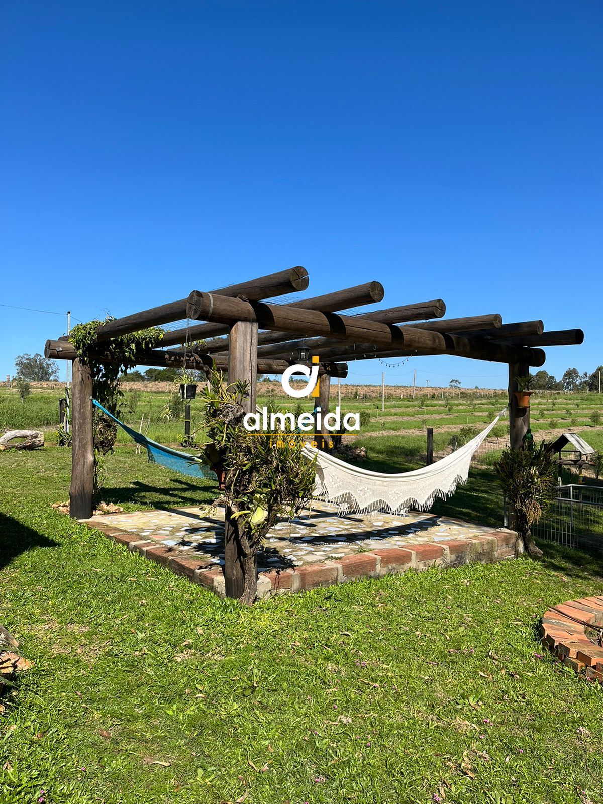 Sítio, 3 quartos, 92600 hectares - Foto 13