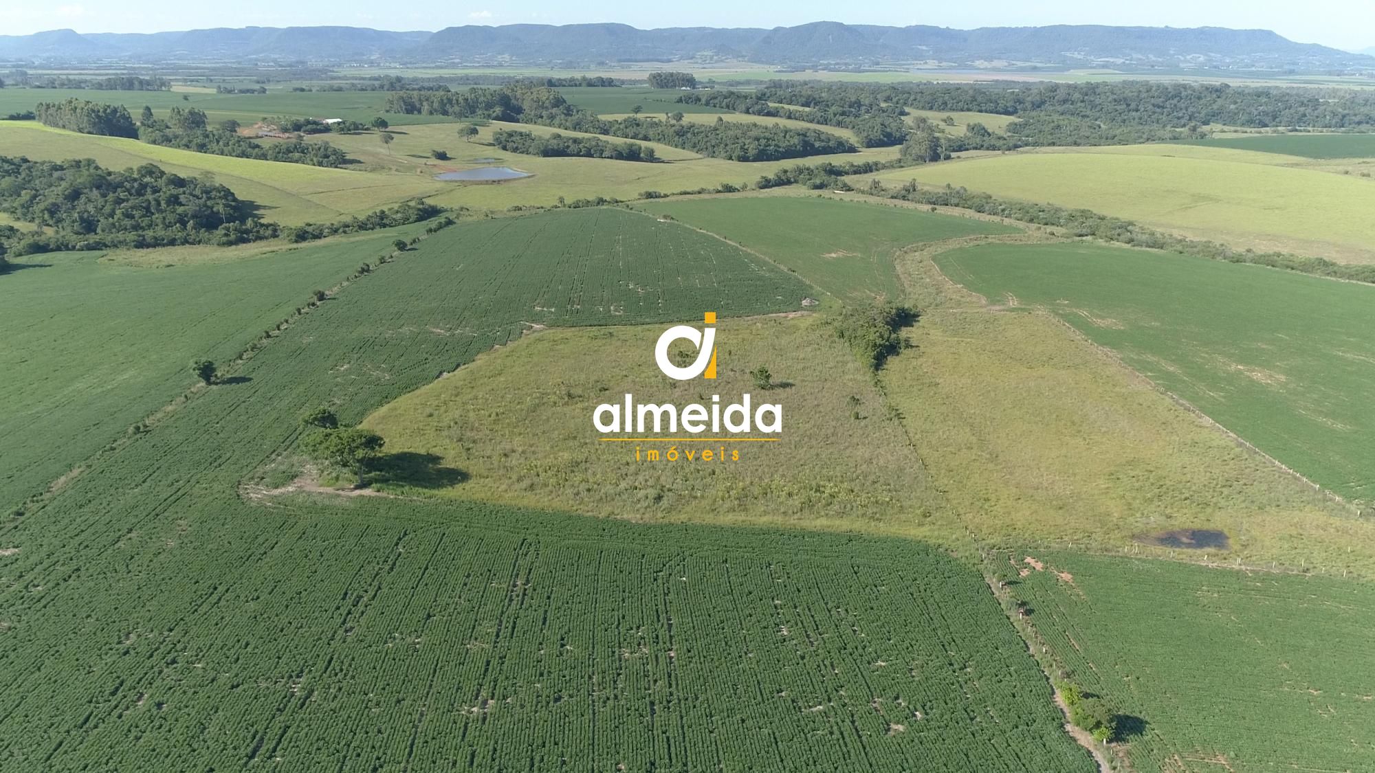 Área agricultável: 29 hectares de lavoura de soja, em plena 