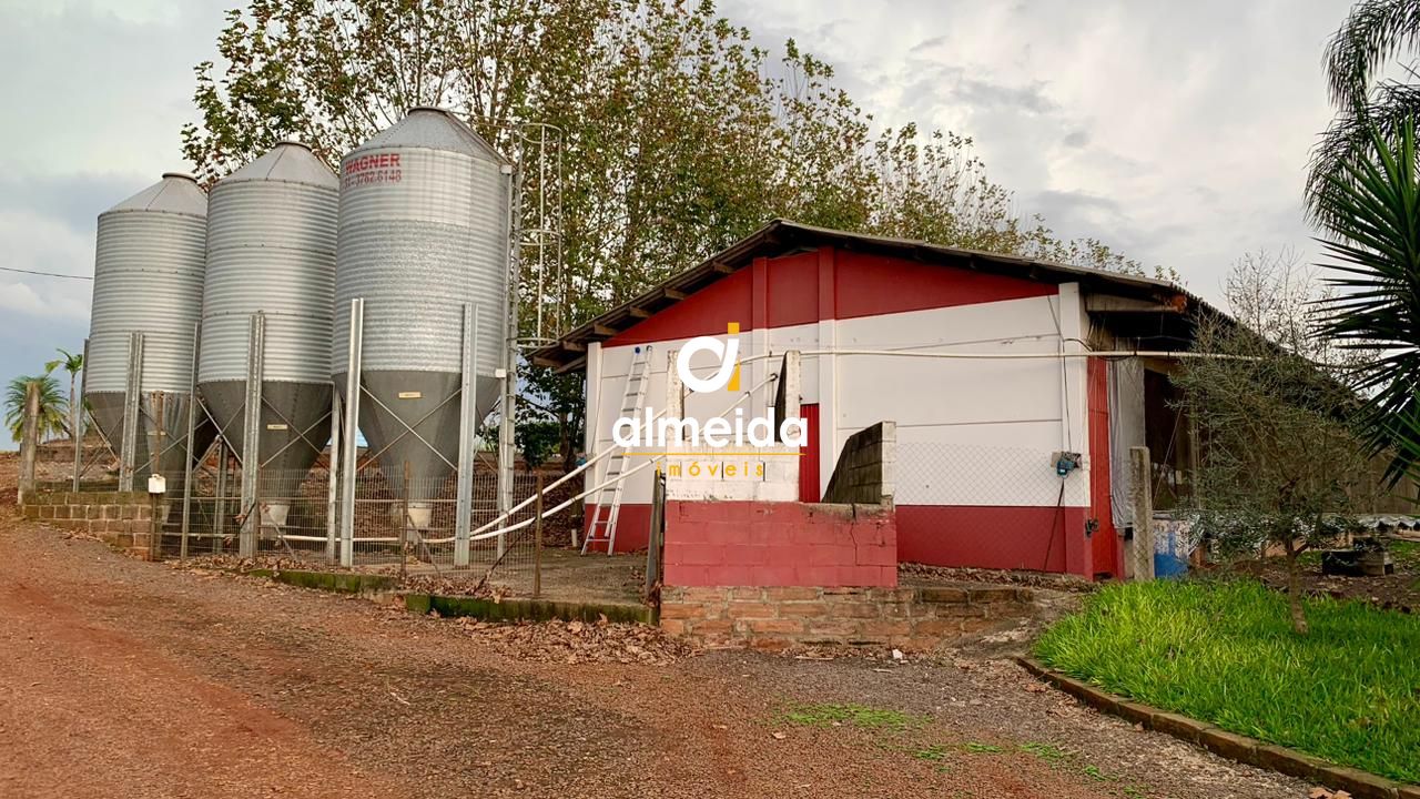 Fazenda à venda com 2 quartos, 200000000m² - Foto 11