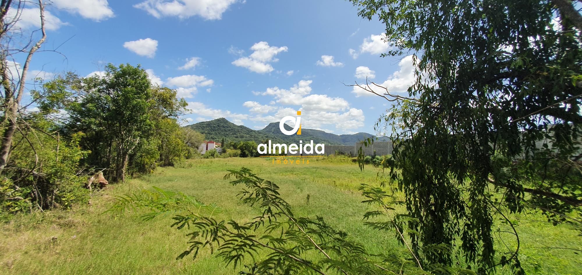 Terreno, 6000 m² - Foto 19