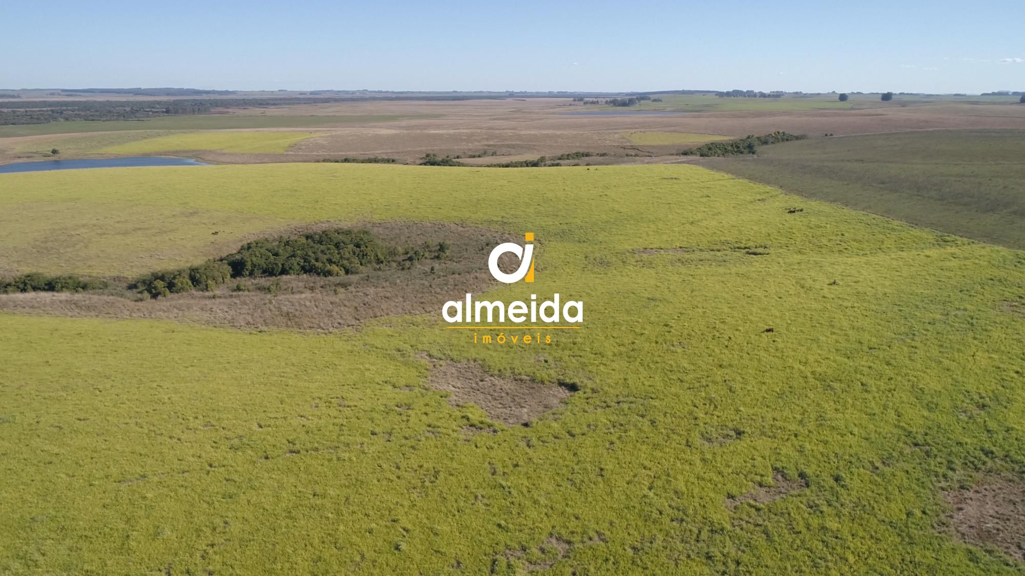 446 ha a venda município de são vicente do sul