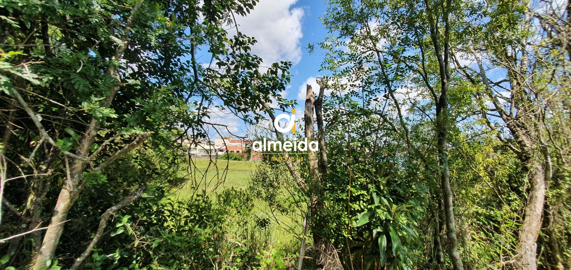 Terreno à venda, 6000m² - Foto 25